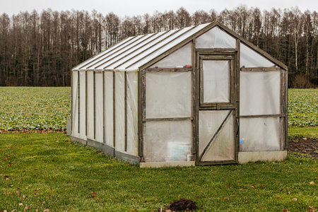 Greenhouse in the field. Agricultural landscape with hothouse.の写真素材