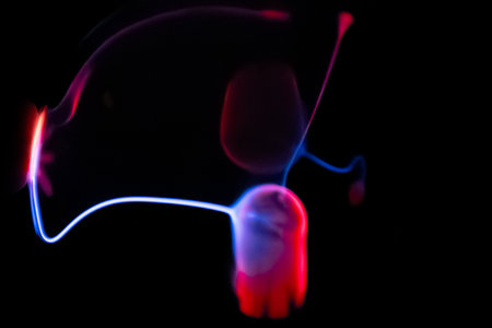 Human kidney in neon light on a black background, close-up