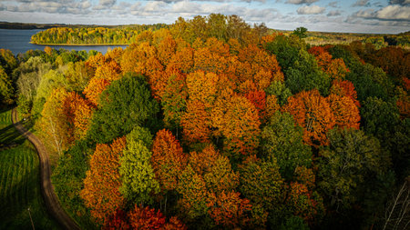 Aerial view of autumn forest and lake. Colorful autumn landscapeの写真素材