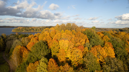 Aerial view of autumn forest and lake. Colorful trees in fall season.