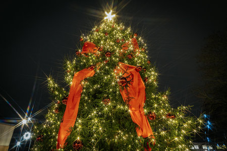 Festively decorated Christmas tree with glowing lights and ribbons, creating a joyful ambiance during the holiday season, surrounded by a dark night skyの写真素材