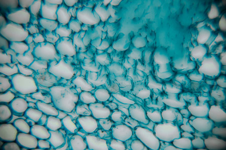 Close-up view of colorful bubbles in fluid, revealing intricate patterns and textures, creating a captivating visual experience of organic shapes and vibrant colorsの写真素材