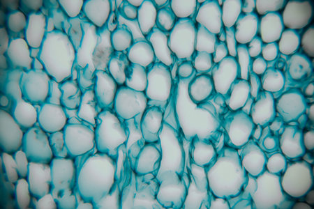Close-up view of blue and white bubbles with unique textures and patterns, creating an abstract scene that highlights fluidity and movement in a captivating mannerの写真素材