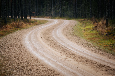 Curved dirt road meanders through vibrant green forest, flanked by towering trees and rich foliage, inviting outdoor enthusiasts to explore nature's beautyの写真素材