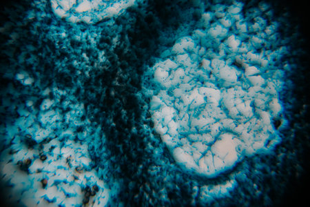 Underwater view showcasing unique rock formations with blue tones and intricate textures,...