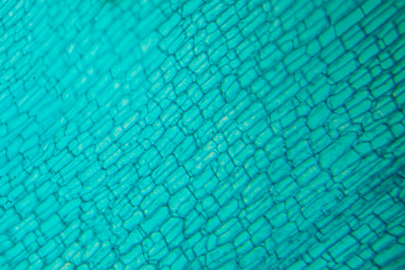 Detailed close-up of a turquoise surface featuring intricate patterns and textures, creating a visually striking element for artistic and creative projectsの写真素材