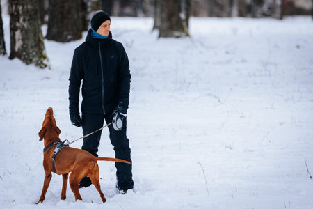 Valmiera, Latvia - January 02, 2026: Man wearing black winter clothing stands in snow with brown dog...