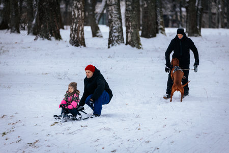 Valmiera, Latvia - January 02, 2026: Father and daughter play in snow, with girl on sled and man walking dog in winter park surrounded by treesのeditorial素材