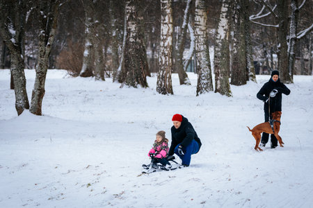 Valmiera, Latvia - January 02, 2026: Family having fun in snowy park, child on sled while parent helps, dog running around, capturing winter joy and outdoor playfulnessのeditorial素材