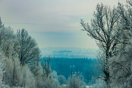 Frosty trees frame a peaceful winter scene featuring distant hills and a soft blue sky, highlighting...