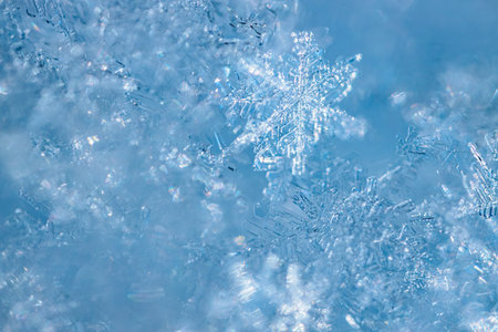 Detailed close-up of snowflakes against a blue backdrop, highlighting the unique shapes and textures...