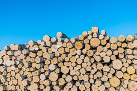 Pile of freshly cut timber logs arranged neatly, displaying their circular cross-sections and...