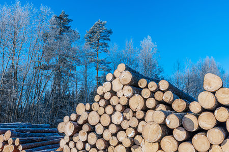 Stacked logs in a snowy landscape with frost-covered trees and a clear blue sky, showcasing a winter...