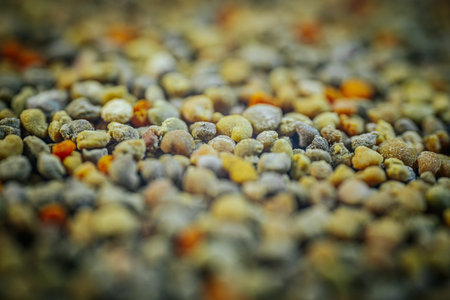 Close-up image of assorted small pebbles and stones in various colors and textures, forming a natural surface with an earthy aestheticの写真素材