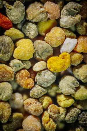 Close-up image of various pollen grains in different colors and sizes, highlighting the diversity of natural plant materials on a textured backgroundの写真素材
