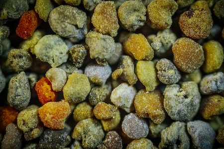 Close-up image of assorted pollen grains displaying a range of colors and textures, highlighting...