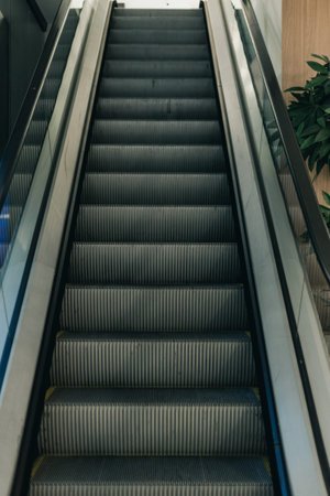 Escalator with gray steps and metal handrails ascends in a contemporary interior, featuring greenery on the side and natural light illuminating the sceneの写真素材