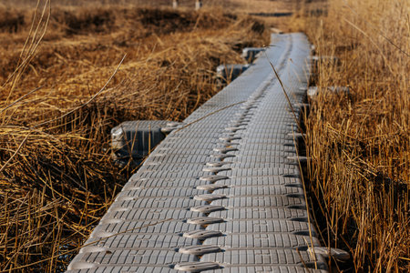 Plastic walkway stretches through dry grassland, providing access across marshy terrain under a...