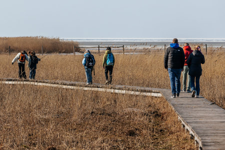 A diverse group of individuals strolls along a wooden boardwalk surrounded by tall grass, heading towards a coastal landscape with water and skyのeditorial素材