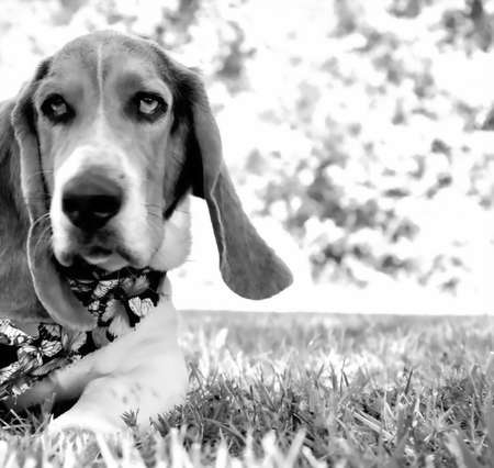 Are you looking at meの写真素材