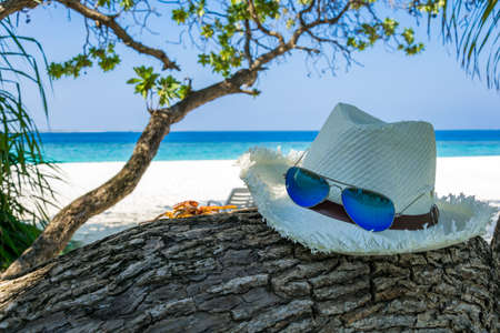 One crab on white hat and blue sunglasses lying on tree trunk in front of white sand beach and turquoise colored indian ocean in Maldives.の写真素材