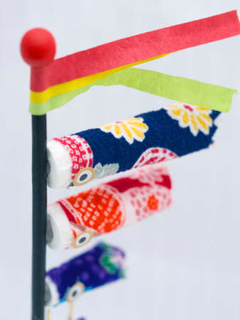 Carp streamer