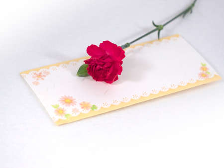 Carnation and cardの写真素材