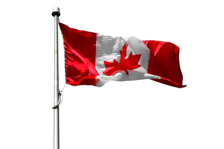 Flag of Canada flying - Canadian flag isolated on white background