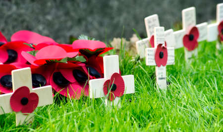 A remembrance day poppy on a cross の写真素材