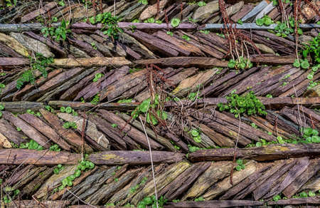 Part of the wall overgrown with weeds.