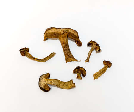 Dried mushrooms isolated on white background.の写真素材