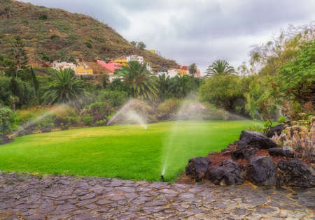 Garden lawn while watering.