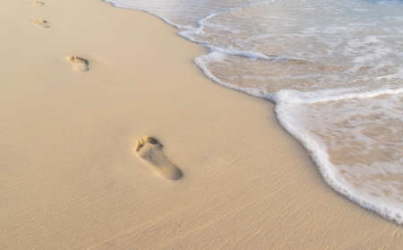 Traces on the sandの写真素材