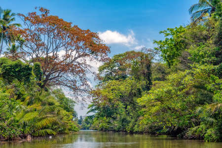 A Dutch canal in Negombo, Sri Lanka.の写真素材