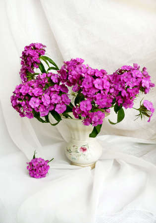 flowers in a vaseの写真素材