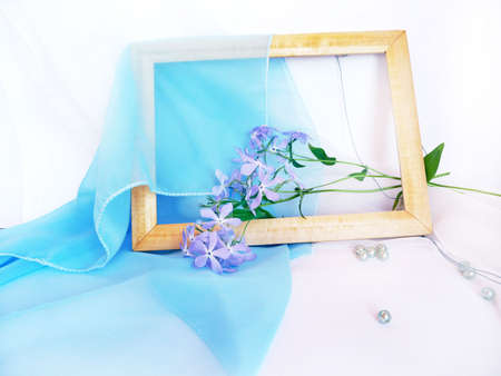 blue flowers with a frameの写真素材
