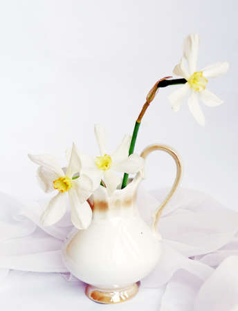 three daffodils in ф sauce-boatの写真素材