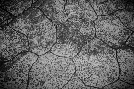 Road Textureの写真素材