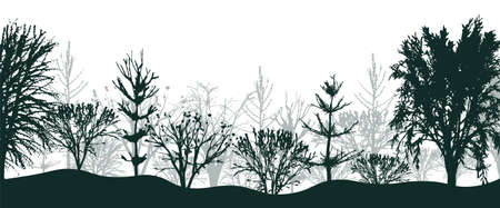 Black silhouettes of trees in forest background. Mystical thicket of spruce and beeches with bushes in light fog. Mysterious landscape in natural vector designのイラスト素材
