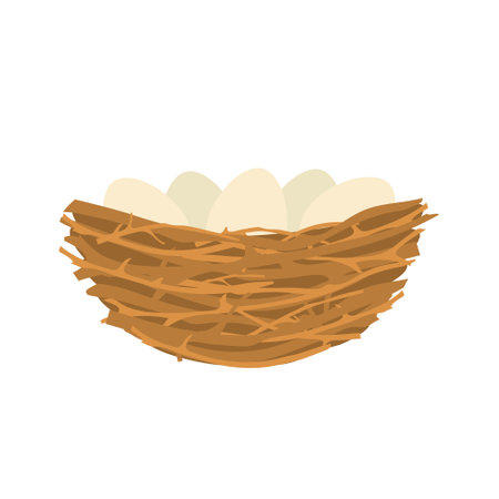 Birds nest with eggs. Nature branches collected together for laying and hatching chicks with nature vector designのイラスト素材