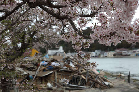 earthquake, tsunami, japan, 311の写真素材