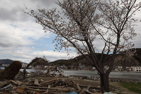 earthquake, tsunami, japan, 311のeditorial素材