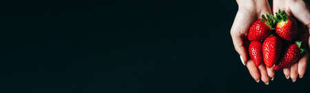 ripe strawberry berries in women s hands. space for your textの写真素材