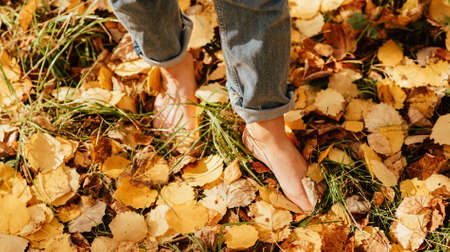 beautiful womens feet barefoot on autumn yellow leavesの写真素材