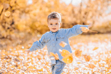 Happy cute boy playing with autumn leaves in the Parkの写真素材