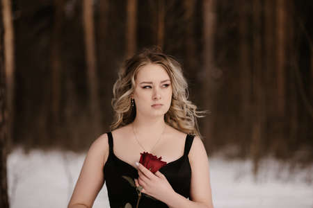 Portrait of a young girl in the image of a dark witch with a scarlet rose in her hands. An image for Halloween. Mysticismの写真素材