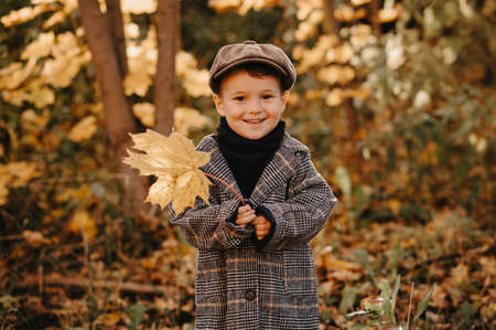 A happy baby boy is playing with a yellow maple leaf in the autumn season in the park.の写真素材