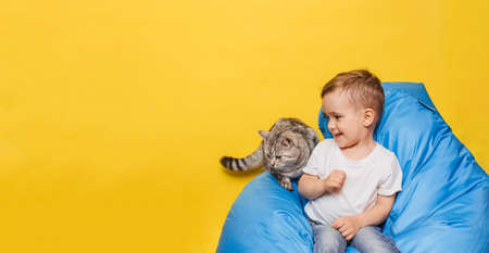 Laughing little boy on a yellow background sits with a cat sitting on a blue chair. Copy of the spaceの写真素材