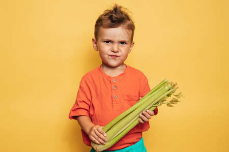 Caucasian little happy boy holds a fresh raw celery stalk on a yellow background. Healthy lifestyle, diet concept, vegetarianism, raw food.の写真素材