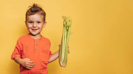 Caucasian little happy boy holds a fresh raw celery stalk on a yellow background. Space for text. Healthy lifestyle, diet concept, vegetarianism, raw food.の写真素材